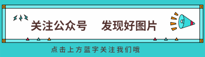 开发者社区动态显示，区块链安全成为全球关注焦点