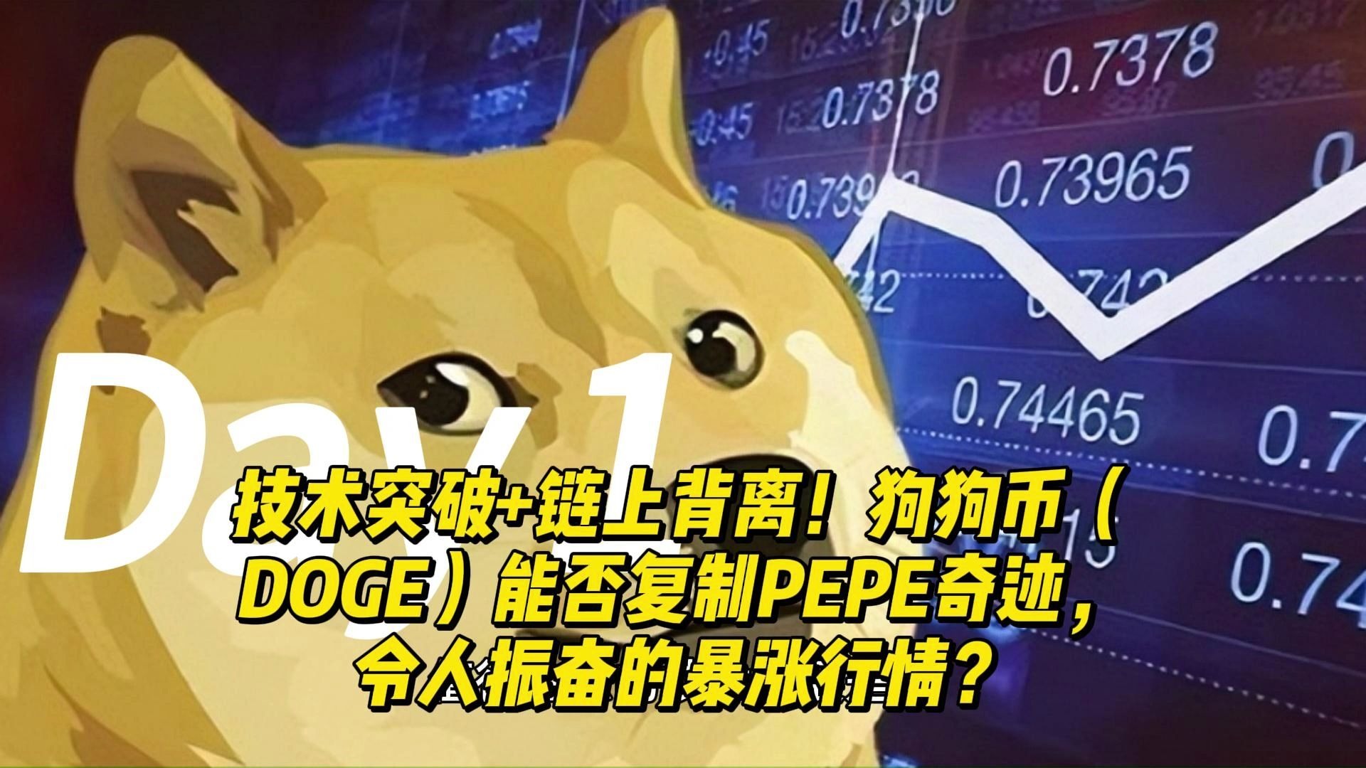 开元体育狗狗币诈骗事件遭曝光，已有超USDT人被骗！